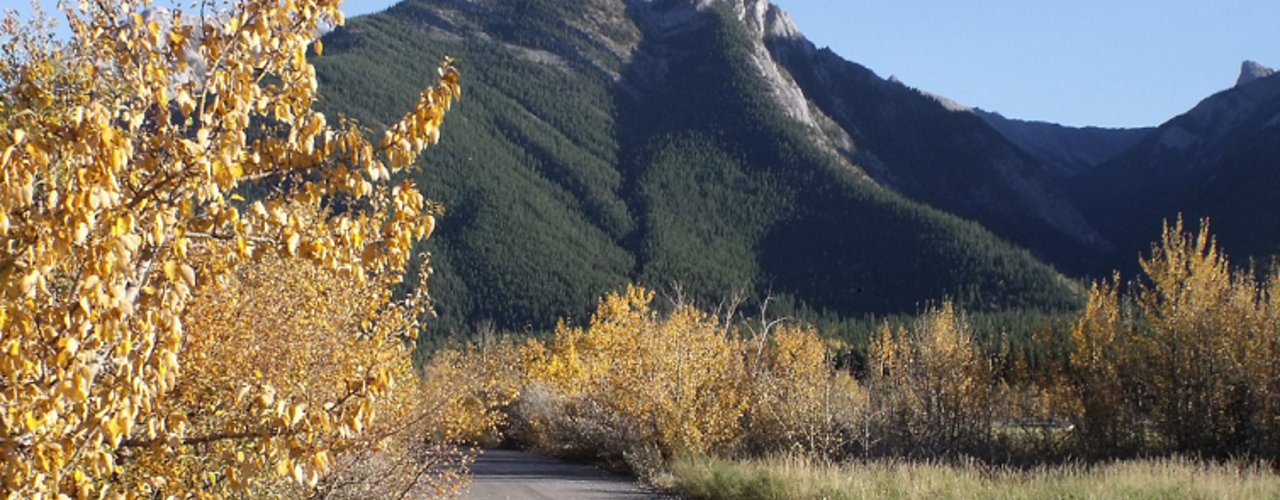 Fall Heart Mountain