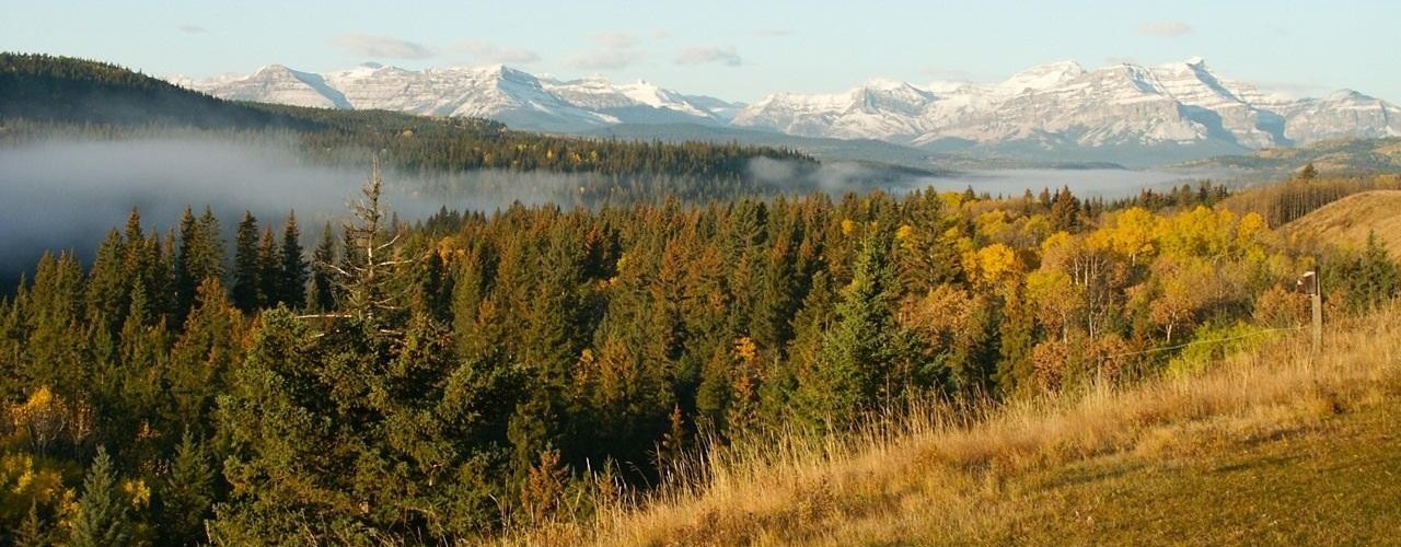 View from Ranchlands